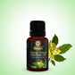 Jojoba, Ylang-Ylang, Lavender, Lemongrass, Eucalyptus, Tea Tree, Rosemary Essential Oil - Selflove and relaxation Pack